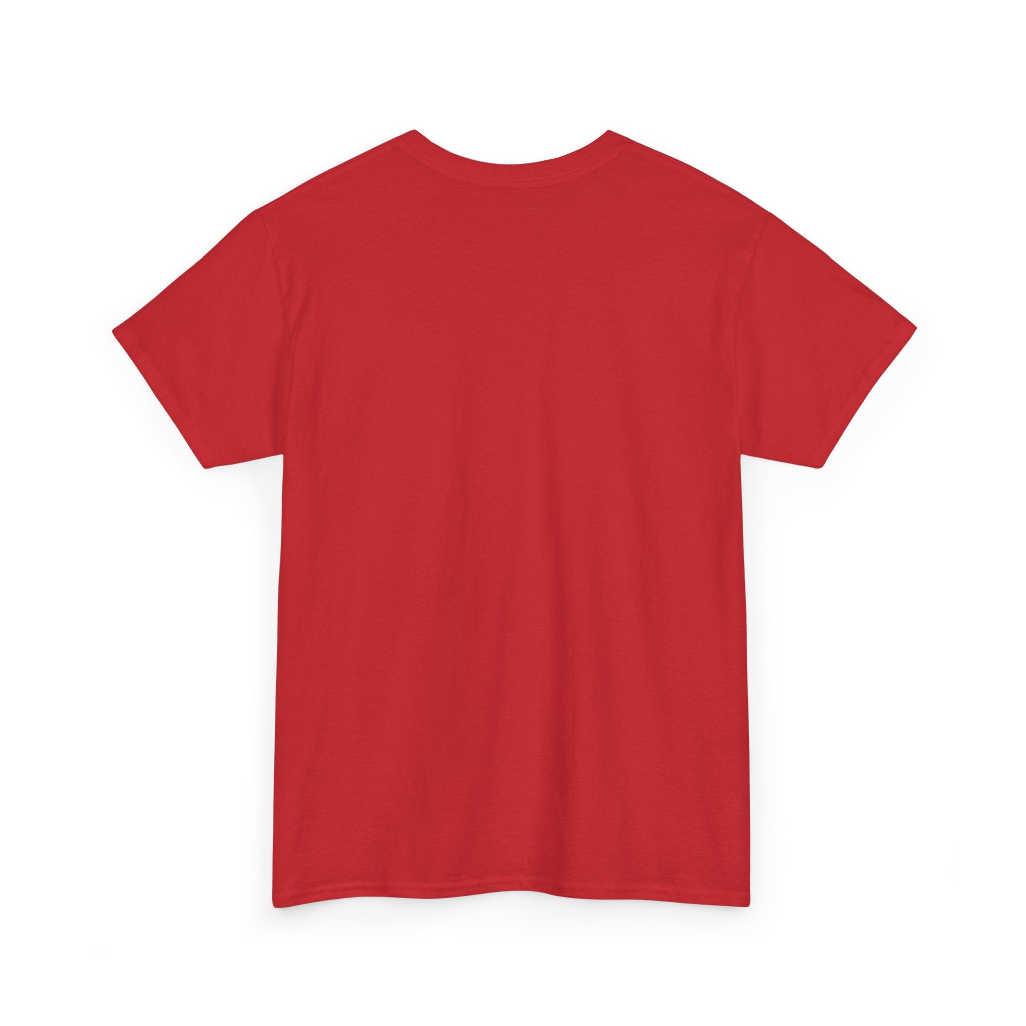 Motherland Tribute T-Shirt — "Wishing You The Motherland" Afrocentric Graphic Tee